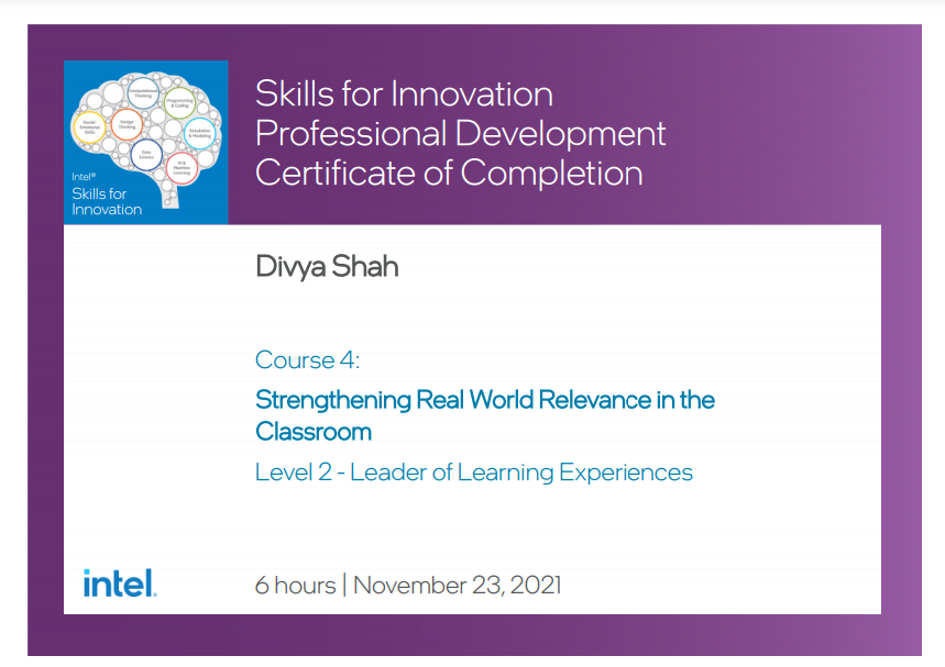 Skills for Innovation_Intel